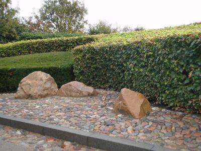 Tegninger af haveplan på et bord med planter udført af ASM Anlæg i Varde